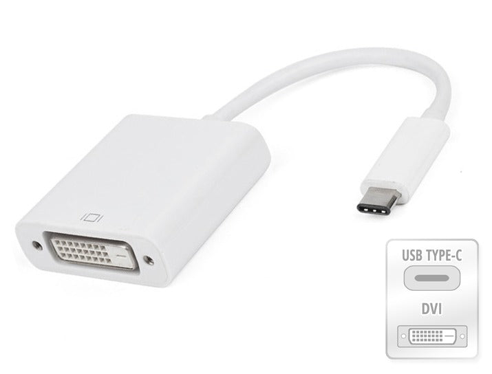 Convertisseur adaptateur USB-C mâle vers DVI femelle