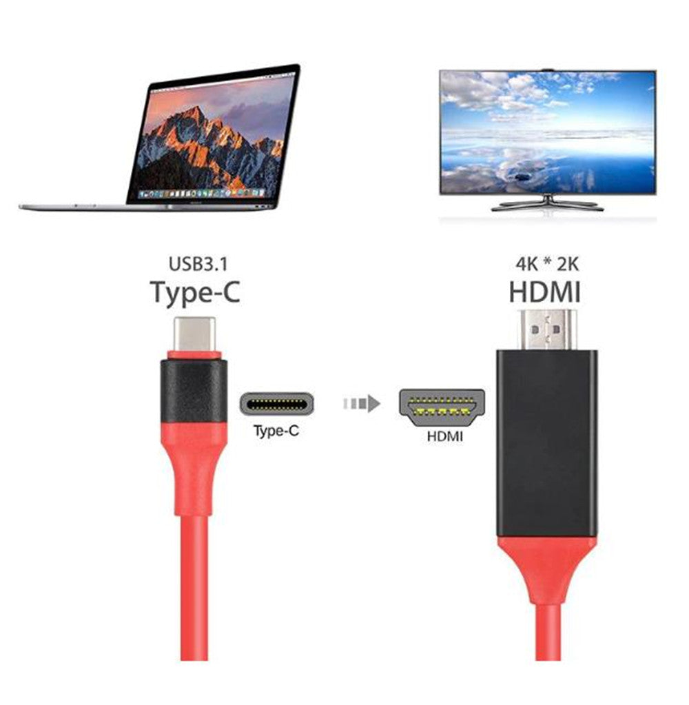 USB-C Male to HDMI Male Adapter Charging Cable (2m)