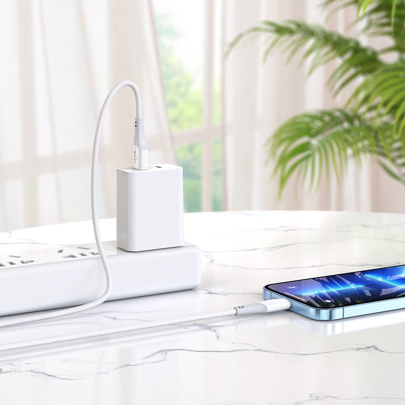 Câble de données de charge rapide USB-C vers Lightning (60 W) (1 m)