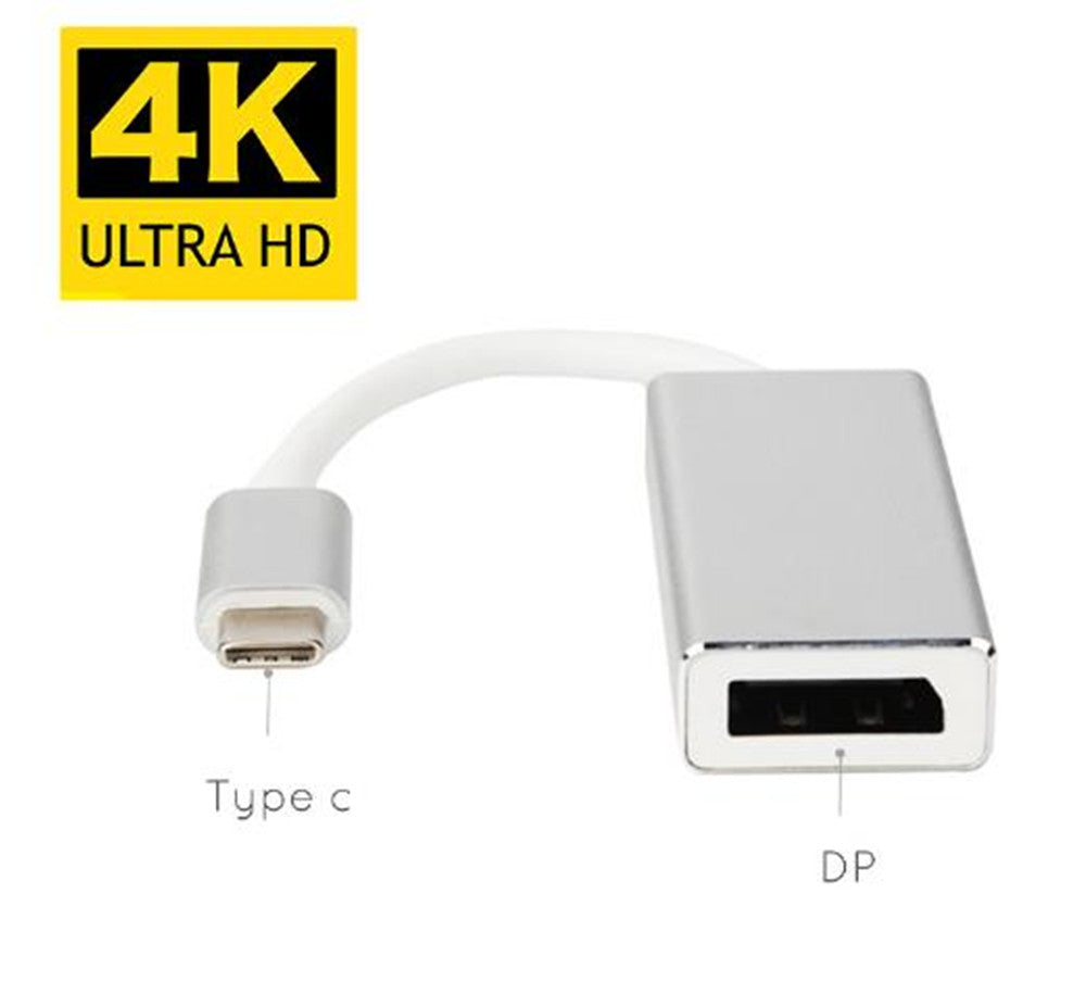 Convertisseur adaptateur USB-C mâle vers DisplayPort femelle